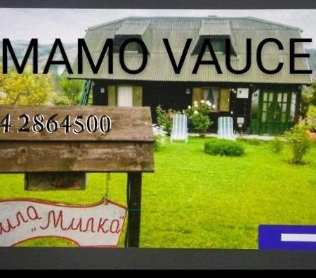 Holiday Home Vila Milka Kremna 外观 照片