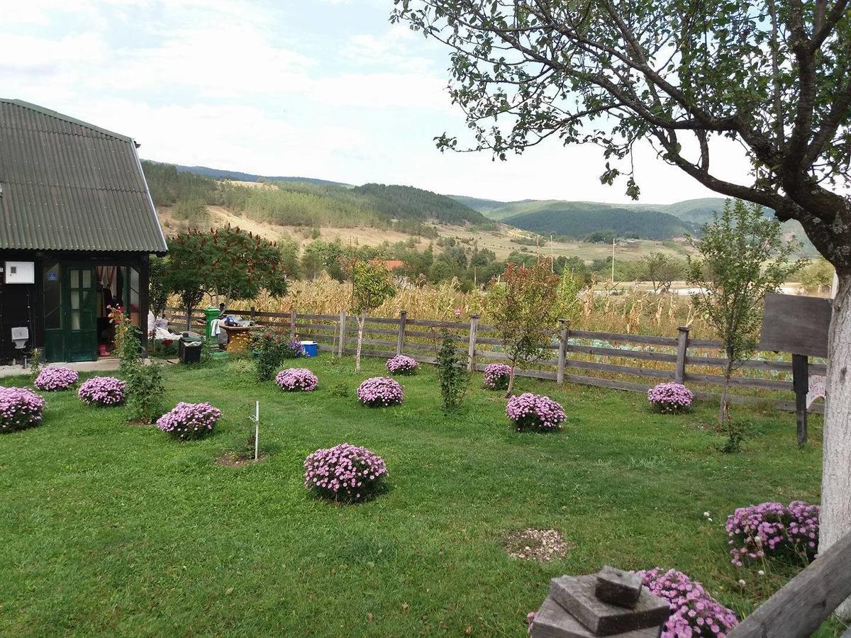 Holiday Home Vila Milka Kremna 外观 照片