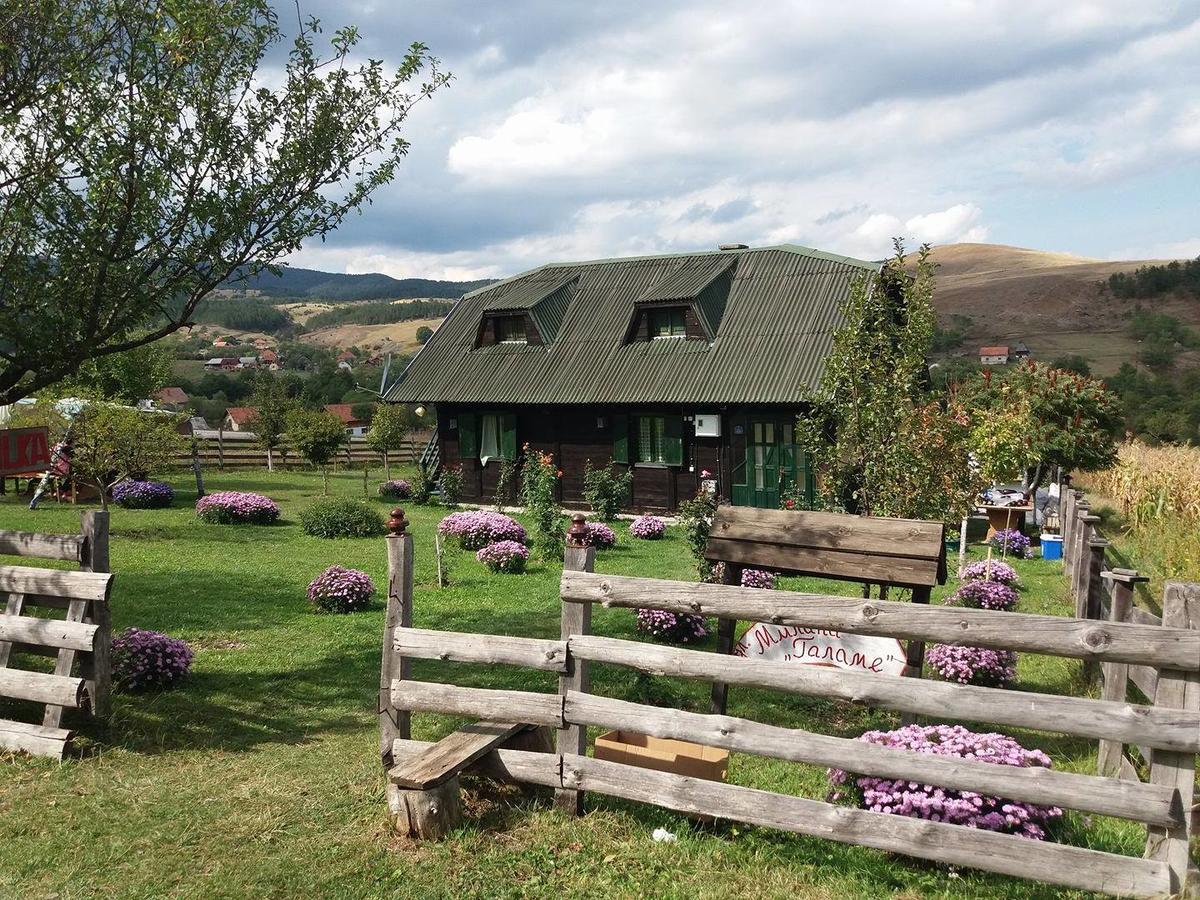 Holiday Home Vila Milka Kremna 外观 照片