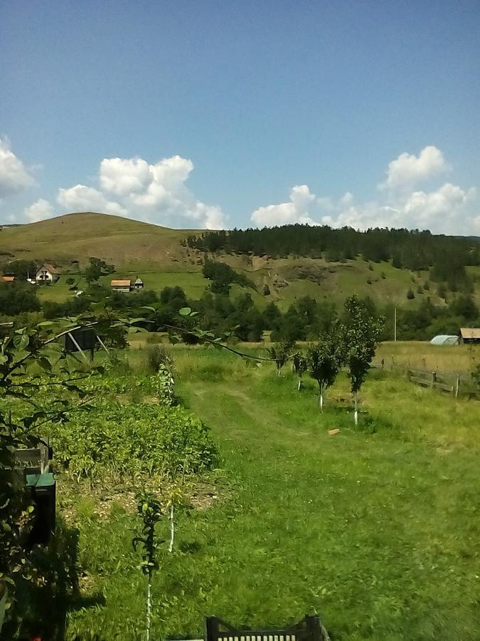 Holiday Home Vila Milka Kremna 外观 照片