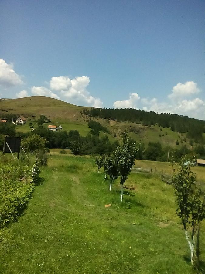 Holiday Home Vila Milka Kremna 外观 照片