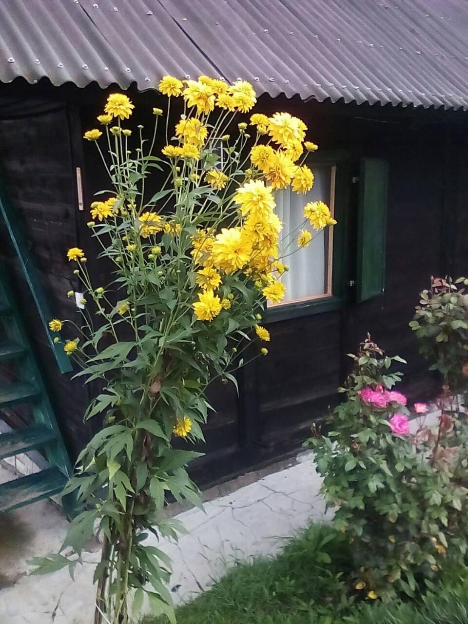 Holiday Home Vila Milka Kremna 外观 照片